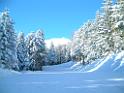 030112 neve cappo